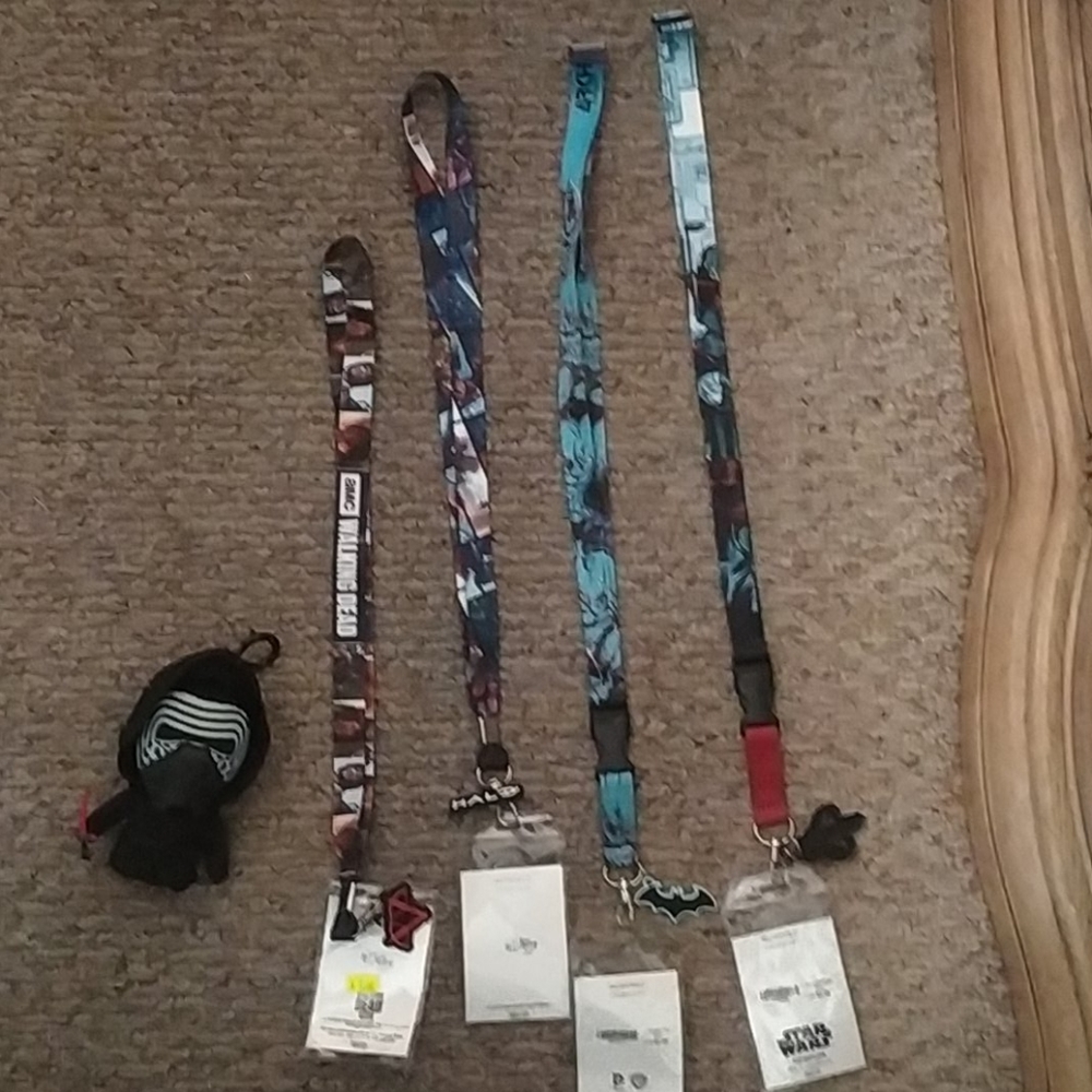 4 Lanyards 1 Plush Keychain 2 metal keychains 1 pi